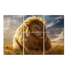 Lion In The Sun Modern Print / Picture Canvas Art / Lion Painting Print On Canvas